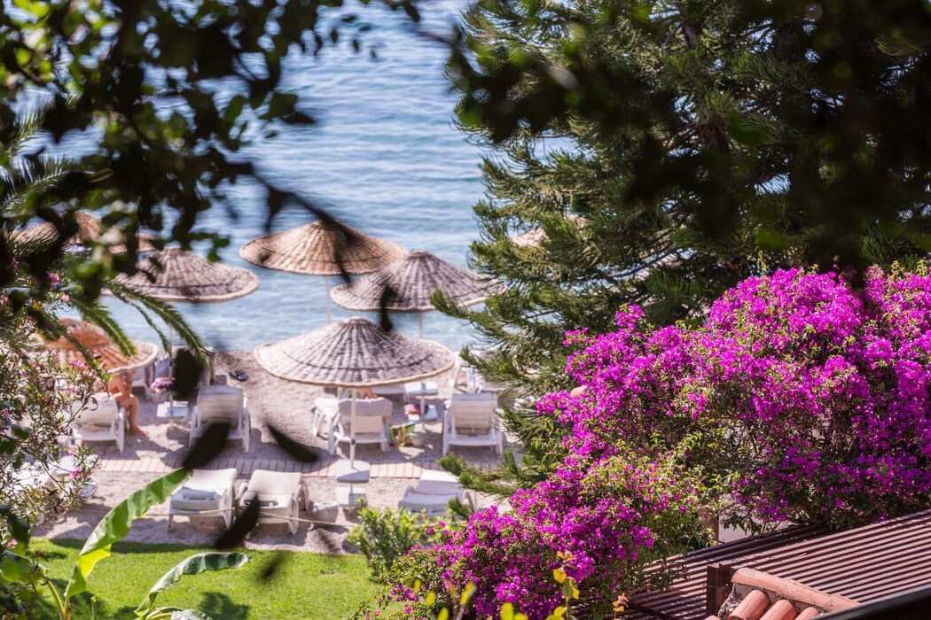 Hillside Beach Club galeri görseli