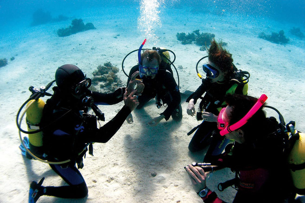 Hillside Beach Club galeri görseli